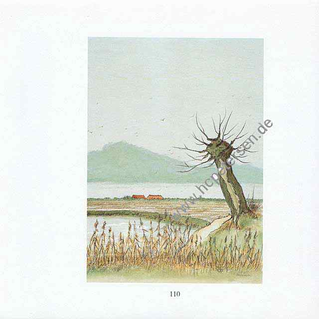 110.jpg