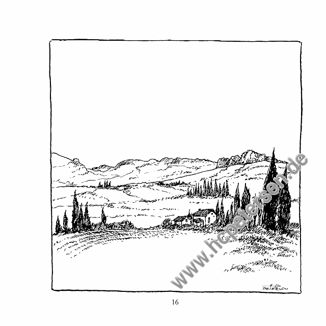 16.gif